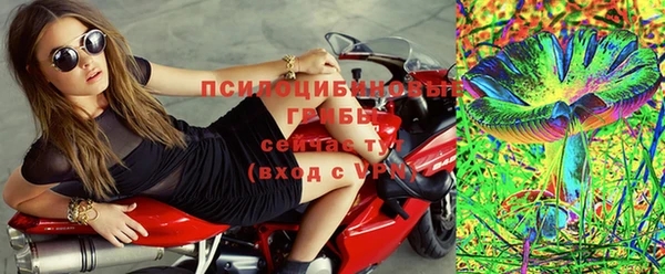 apvp Покровск