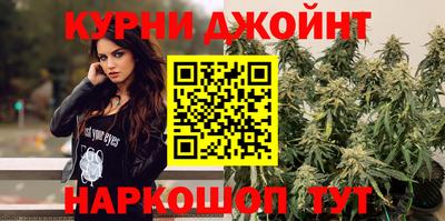 Альфа ПВП Сланцы
