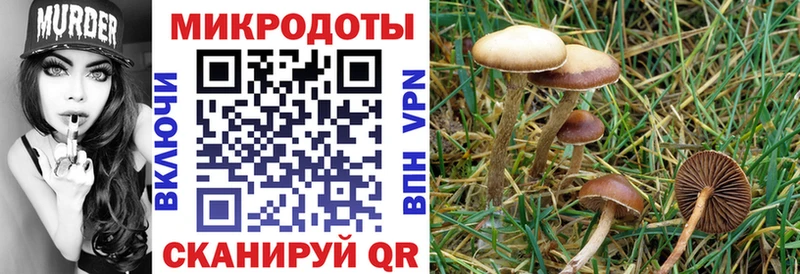 Галлюциногенные грибы GOLDEN TEACHER Туапсе